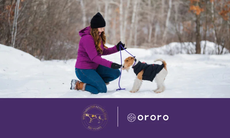 Gearing Up for the 150th Annual Westminster Kennel Club Dog Show