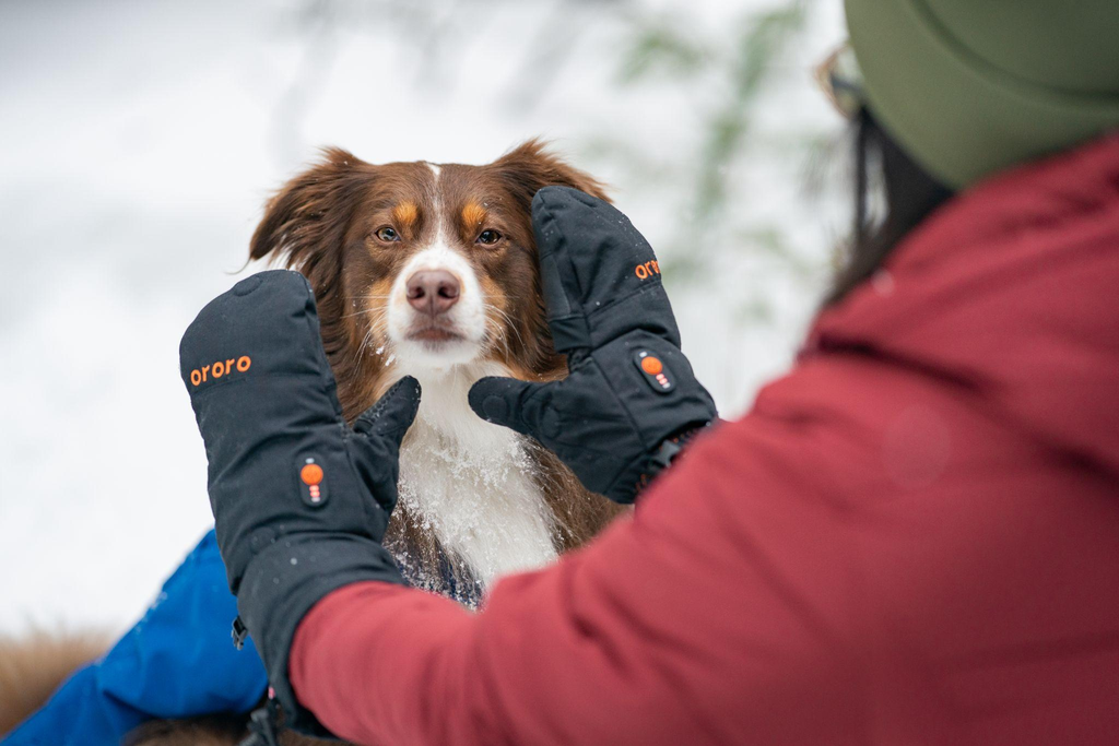 Tips for Dog Walks (and Real Stories from ororo Owners)