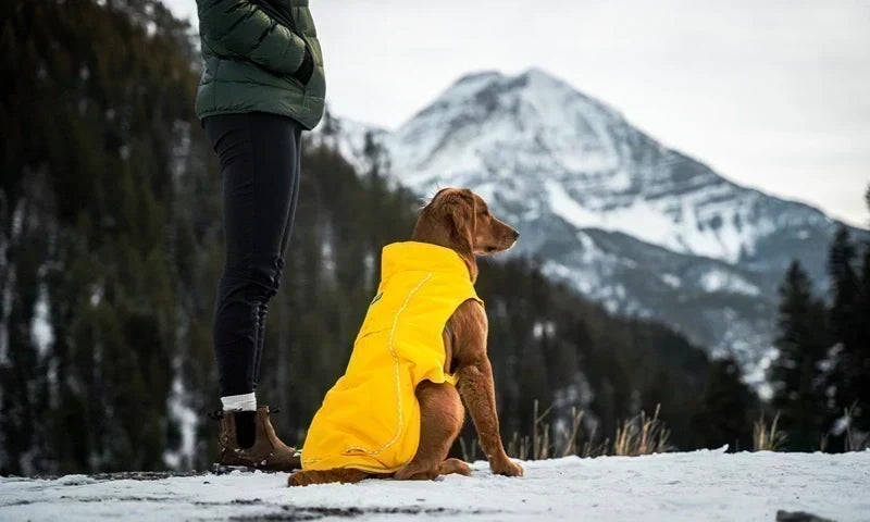 ororo® Expands Heated Pet Collection with Additional Heated Dog Vest Styles and First-Ever Heated Pet Blanket
