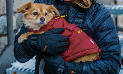 Heated Gloves vs. Heated Mittens: Which One is Warmer?