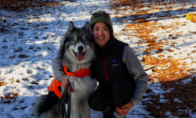 Kuma, the Siberian Husky who loves the cold!