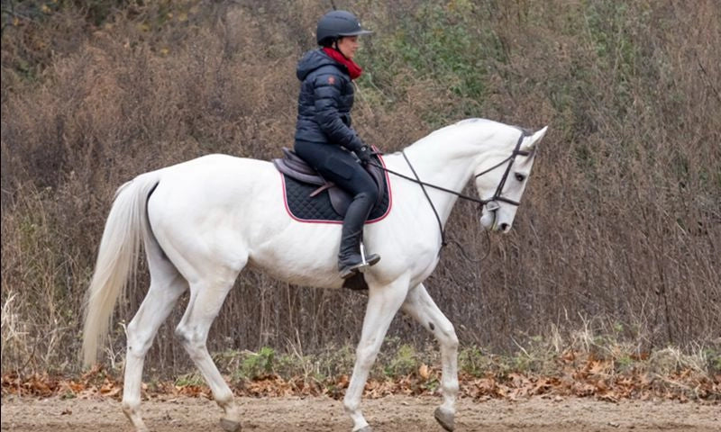 Visit ororo at the Defender Kentucky 3-Day Event April 23-26