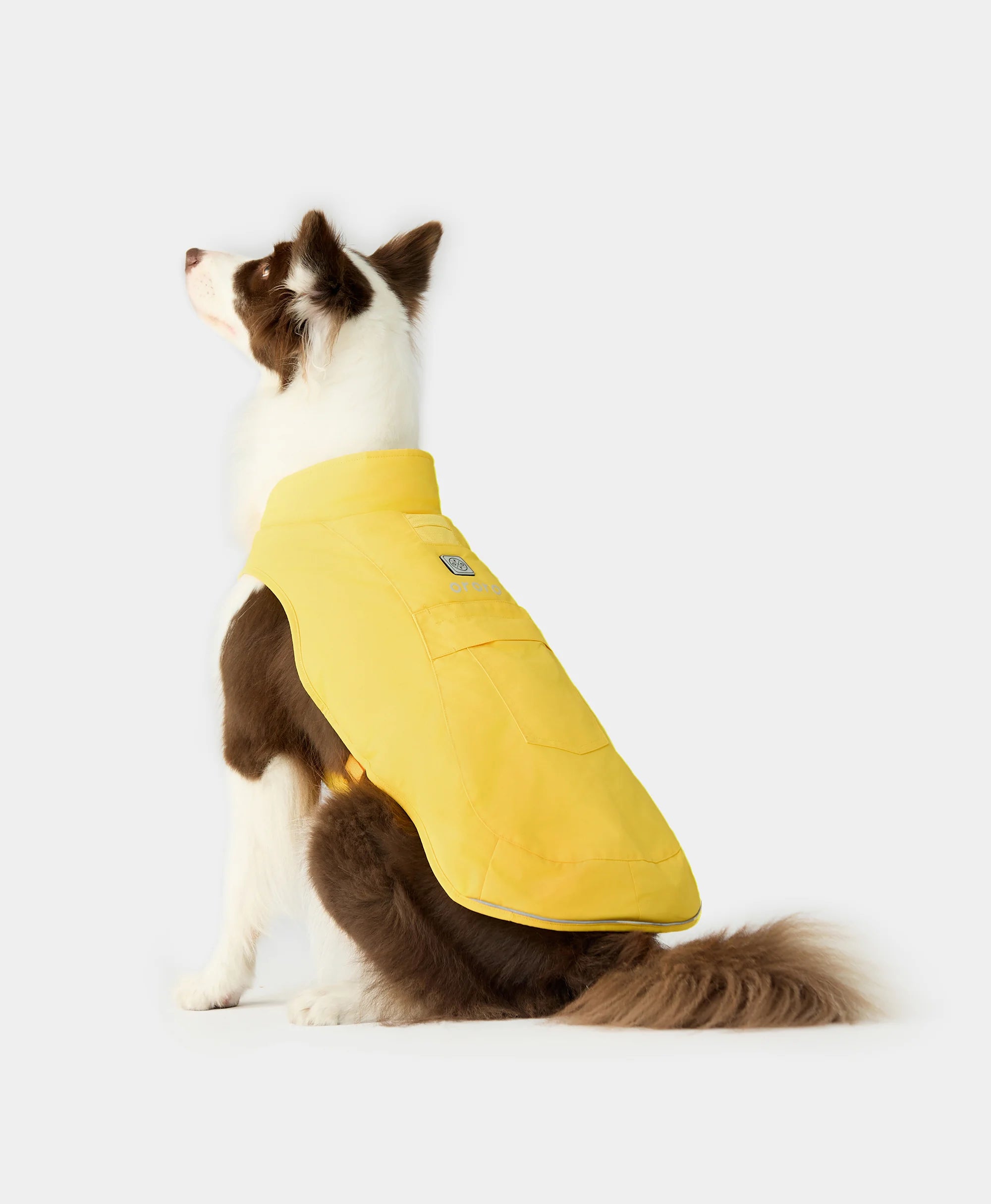 Unisex Waterproof Padded Dog Jacket – Warm Winter Coat For Small To Large Breeds (10 Sizes Available)