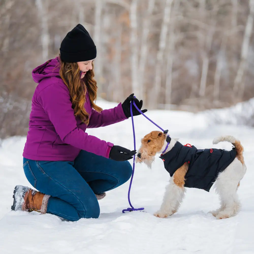 Snøwoof 3-Zone Heated Dog Puffer Vest