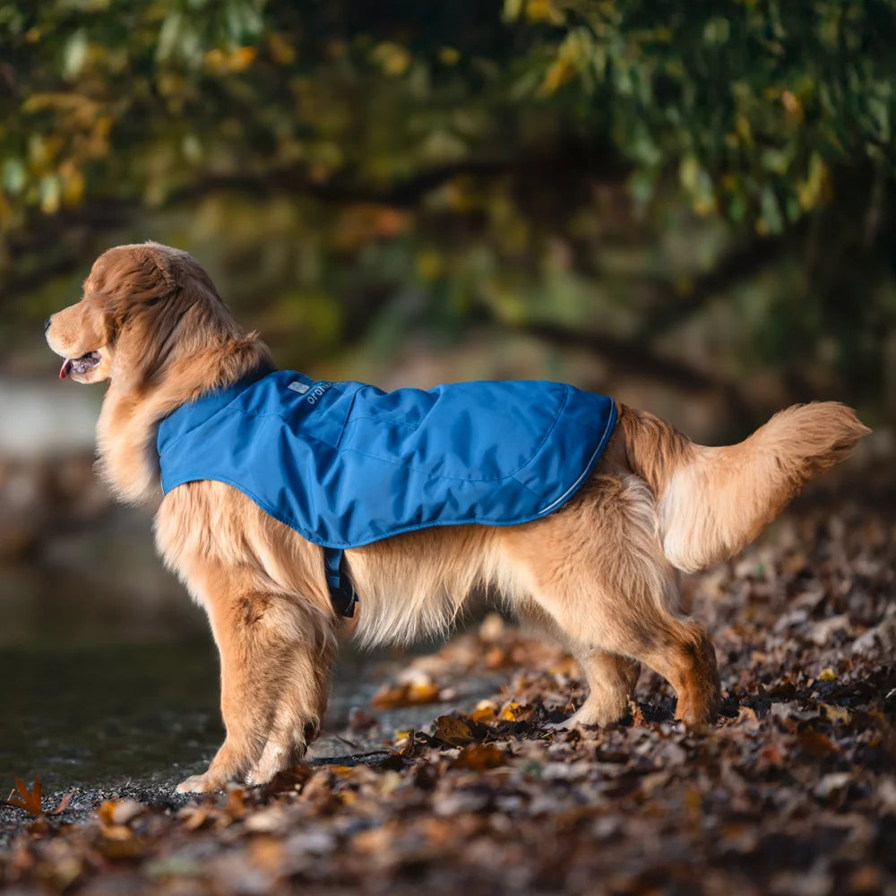 Koldpwoof Heated Dog Vest-blue