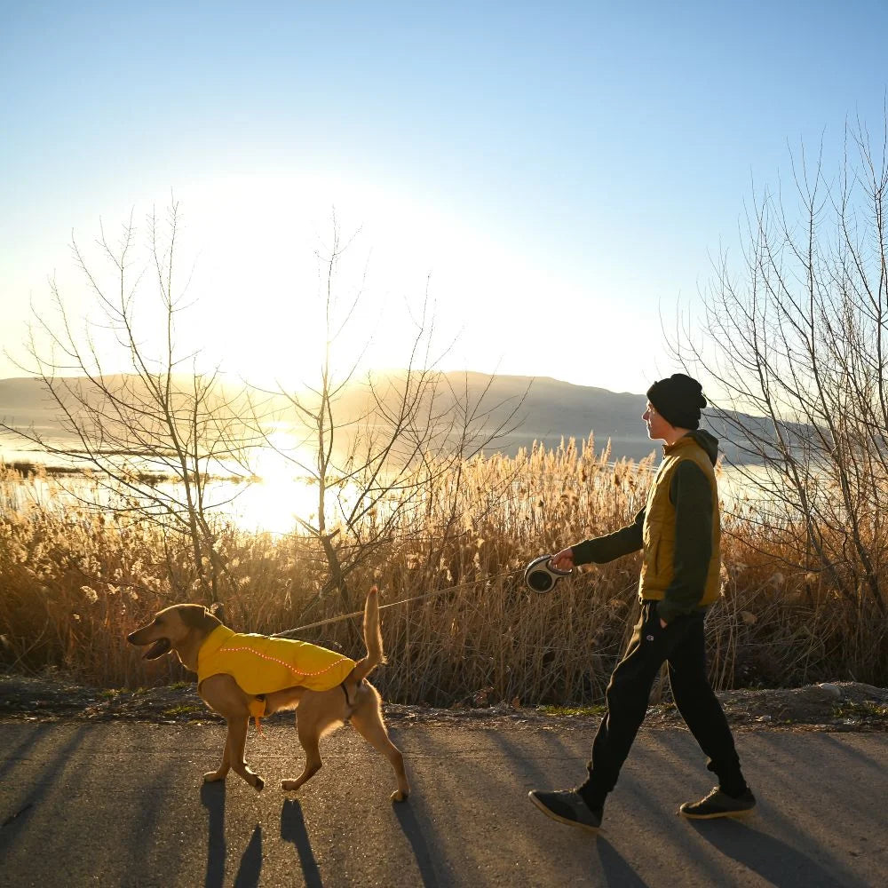 Koldpwoof 4-Zone Heated Dog Vest w/ LED Lights