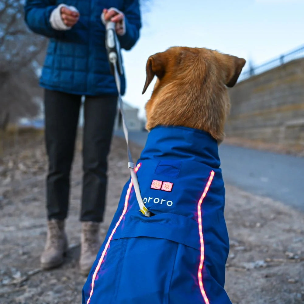 Koldpwoof 4-Zone Heated Dog Vest w/ LED Lights