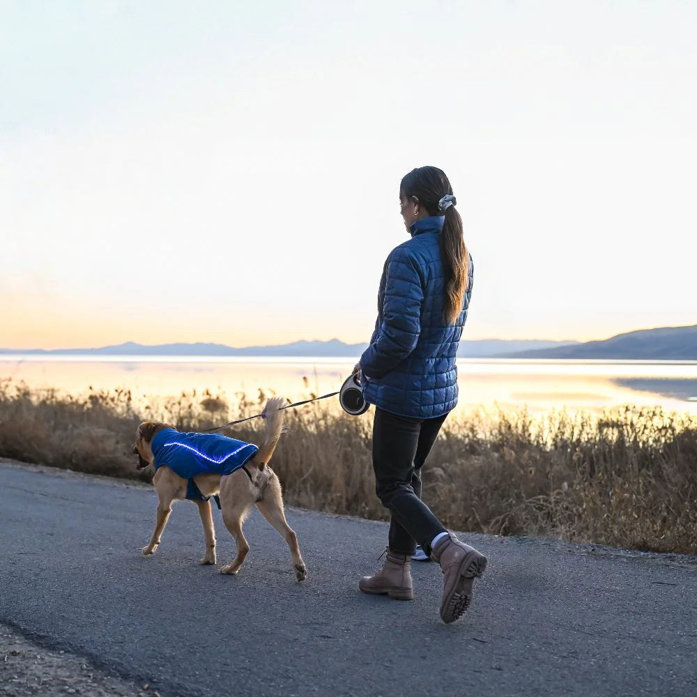 Koldpwoof 4-Zone Heated Dog Vest w/ LED Lights