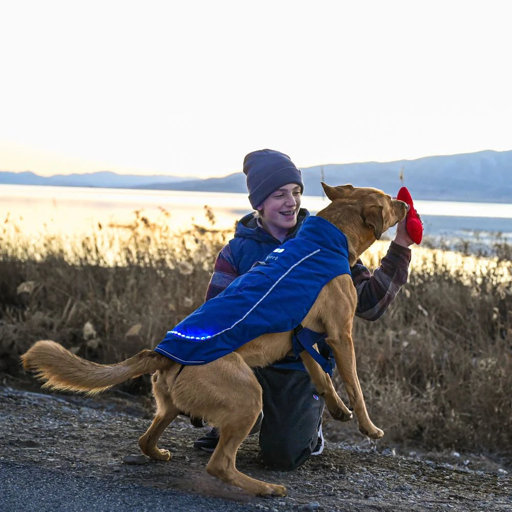 Koldpwoof 4-Zone Heated Dog Vest w/ LED Lights