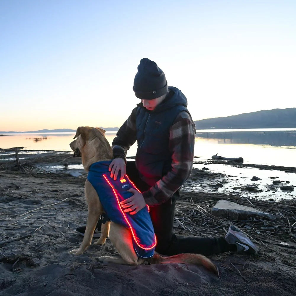 Koldpwoof 4-Zone Heated Dog Vest w/ LED Lights