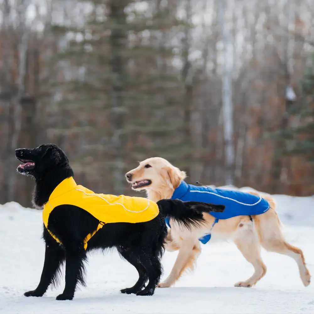 Koldpwoof 4-Zone Heated Dog Vest w/ LED Lights