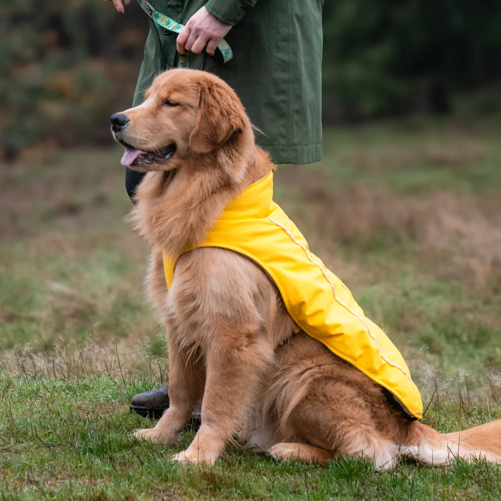 KOLDPWOOF 4-Zone Heated Dog Vest w/ LED Lights