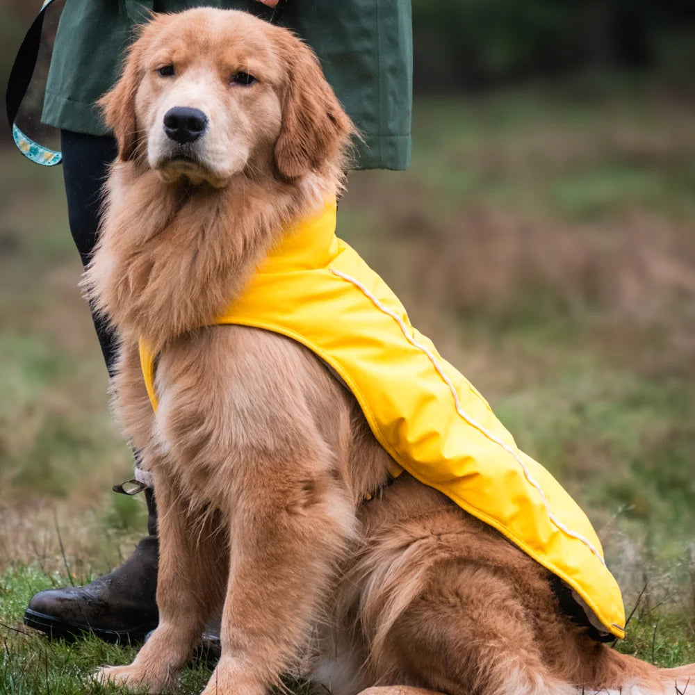 KOLDPWOOF 4-Zone Heated Dog Vest w/ LED Lights