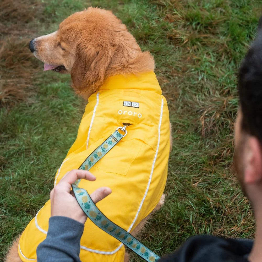 KOLDPWOOF 4-Zone Heated Dog Vest w/ LED Lights
