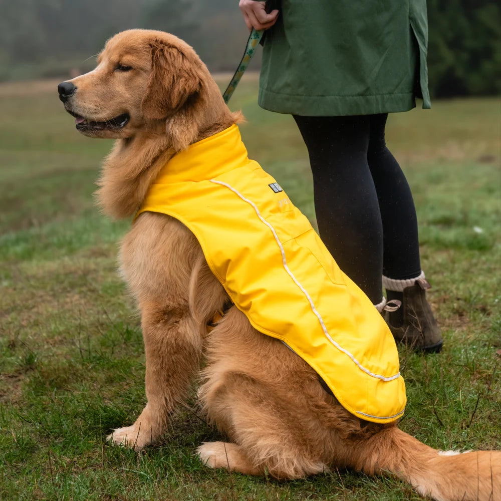 KOLDPWOOF 4-Zone Heated Dog Vest w/ LED Lights