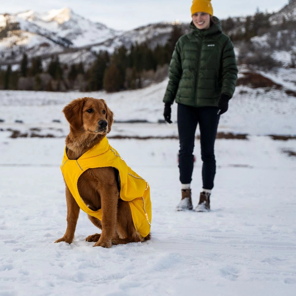 Koldpwoof 4-Zone Heated Dog Vest w/ LED Lights