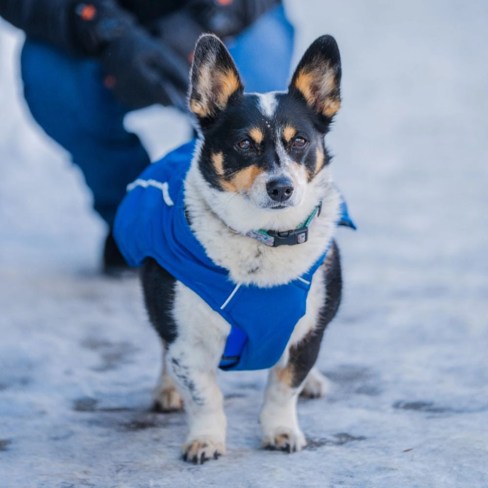 Koldpwoof 4-Zone Heated Dog Vest w/ LED Lights