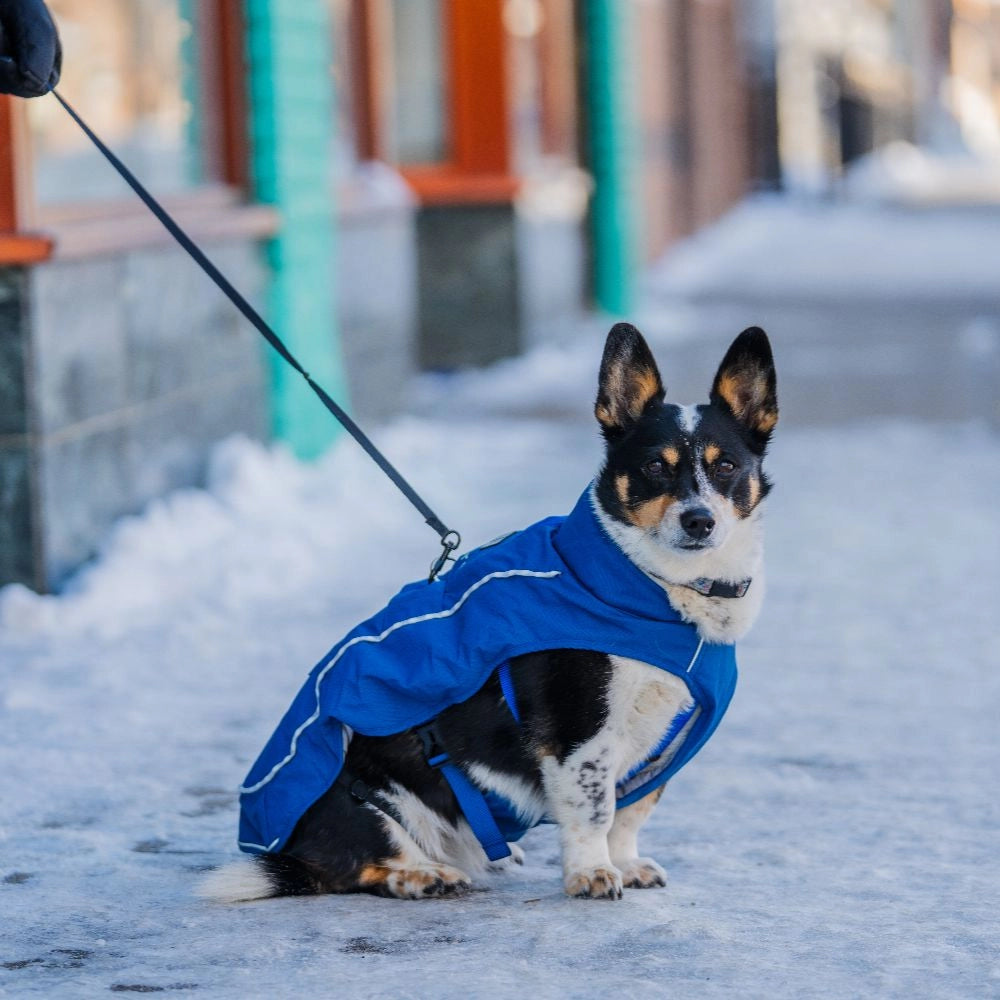 Koldpwoof 4-Zone Heated Dog Vest w/ LED Lights