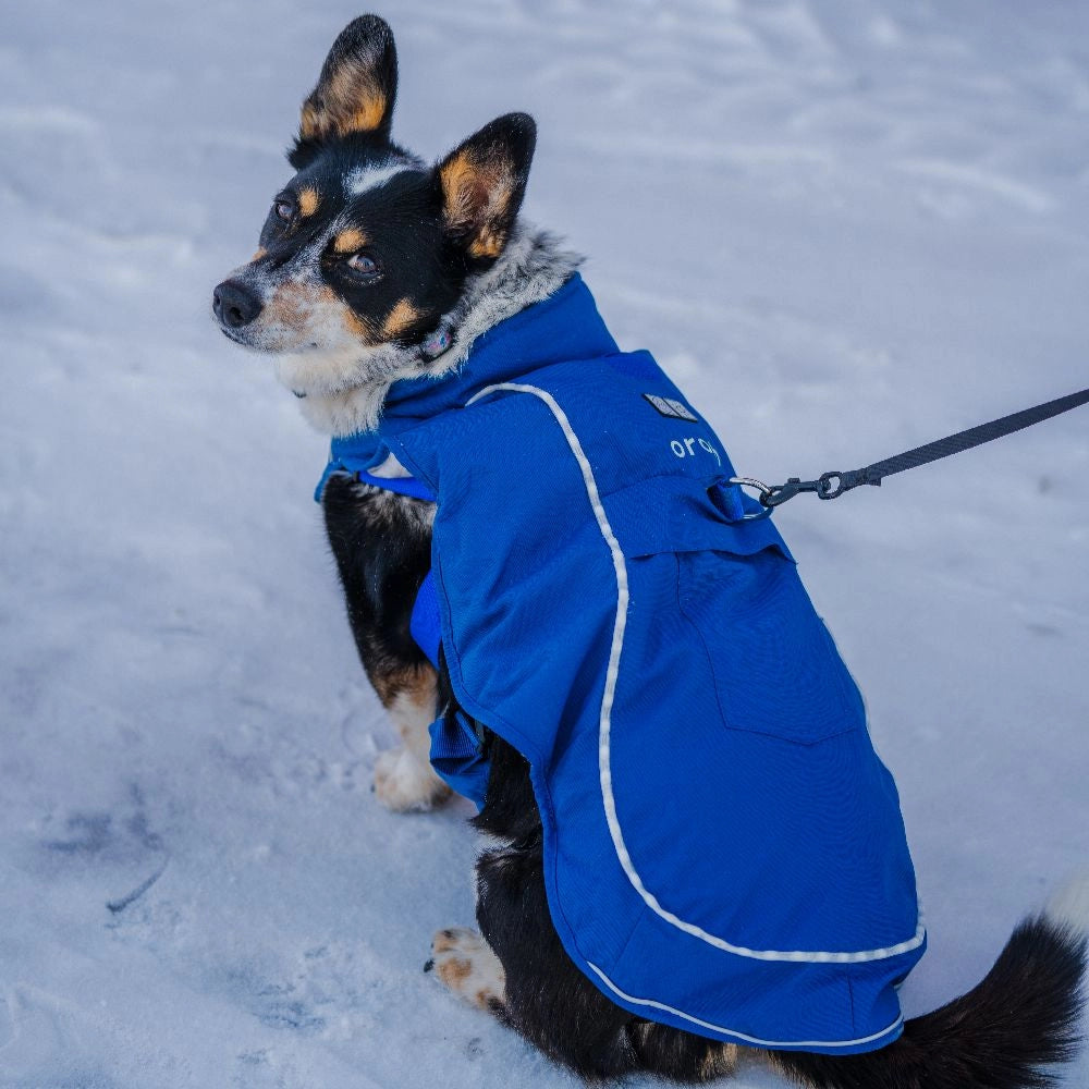Koldpwoof 4-Zone Heated Dog Vest w/ LED Lights