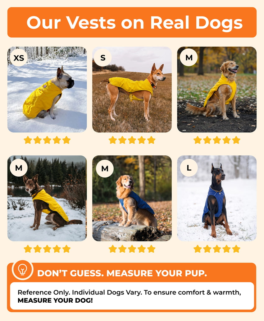 Koldpwoof Heated Dog Vest – ororo