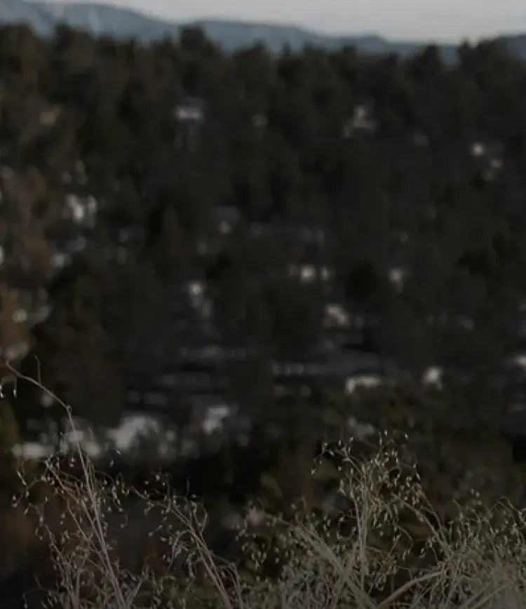 ororo | Hunting gear mobile banner