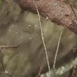 ororo | Hunting Ready Gear Icon | Country DNA