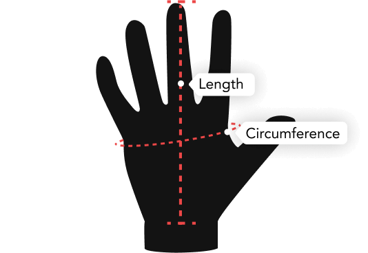 Middle Finger Lenght | Length | Circumference